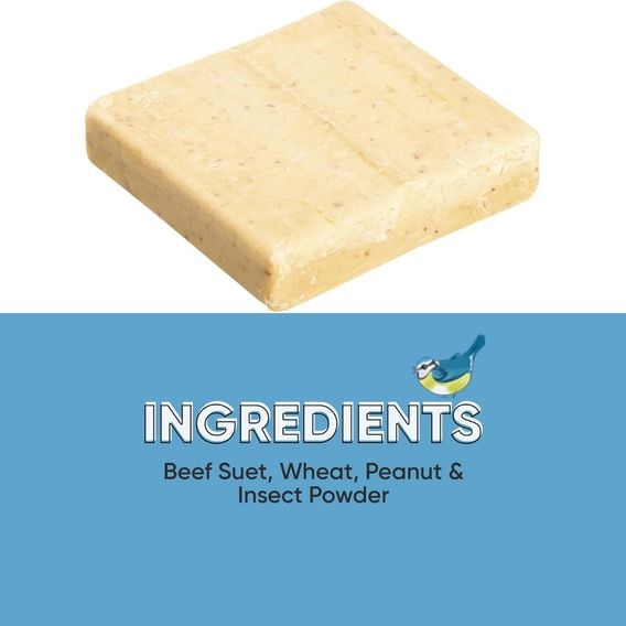 Happy Beaks - Insect & Mealworm Suet Blocks